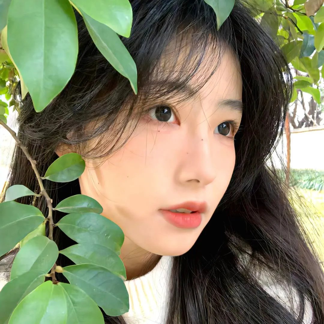 荒原少女